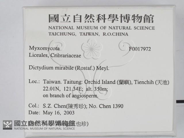 登錄號:F0017972藏品圖，第2張
