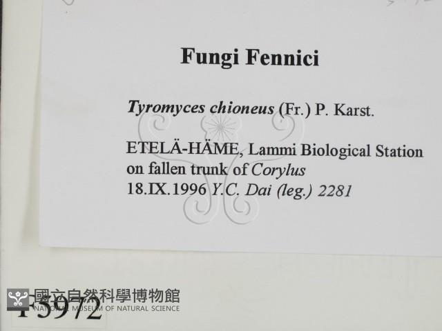 登錄號:F0005972藏品圖，第2張