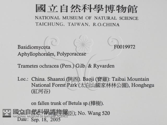 登錄號:F0019972藏品圖，第2張