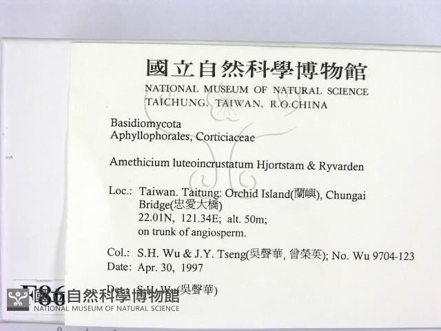 登錄號:F0008672藏品圖，第2張