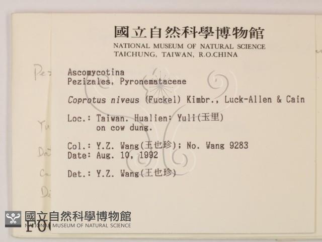 登錄號:F0000672藏品圖，第2張