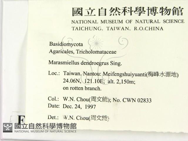 登錄號:F0010672藏品圖，第2張