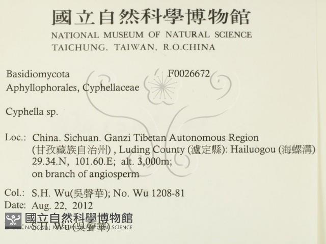 登錄號:F0026672藏品圖，第2張