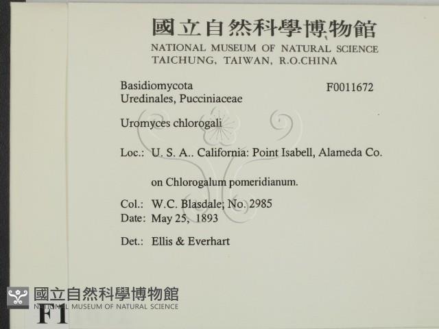 登錄號:F0011672藏品圖，第2張