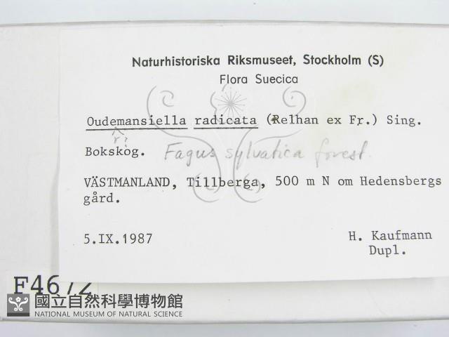 登錄號:F0004672藏品圖，第2張