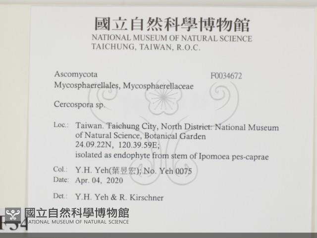 登錄號:F0034672藏品圖，第2張