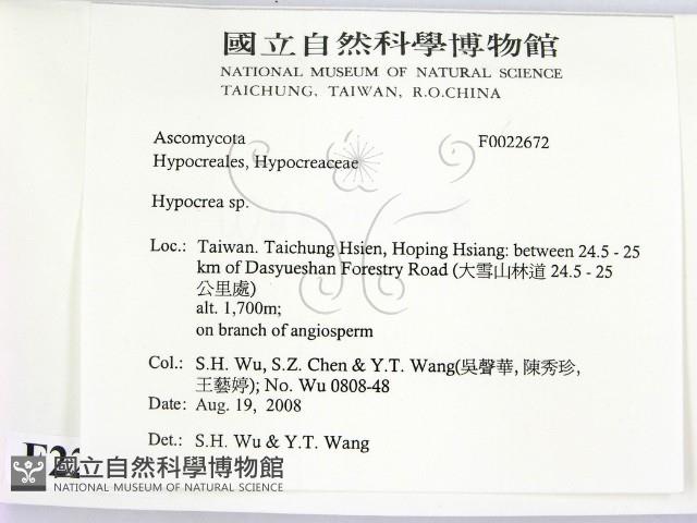 登錄號:F0022672藏品圖，第2張