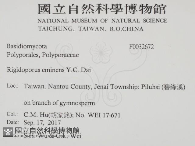 登錄號:F0032672藏品圖，第2張