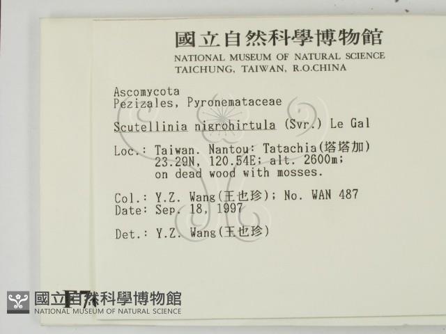 登錄號:F0007672藏品圖，第2張