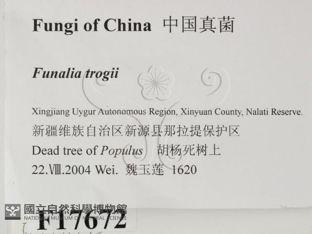 登錄號:F0017672藏品圖，第2張