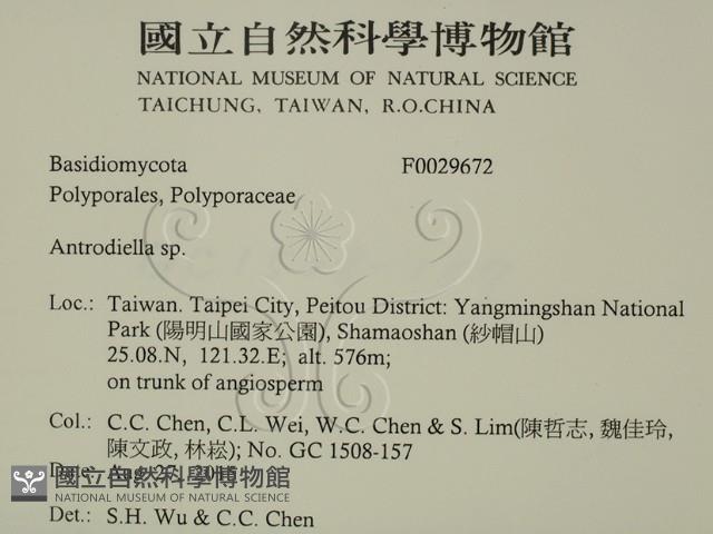 登錄號:F0029672藏品圖，第2張