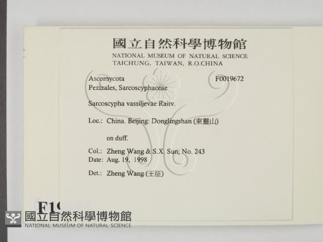 登錄號:F0019672藏品圖，第2張