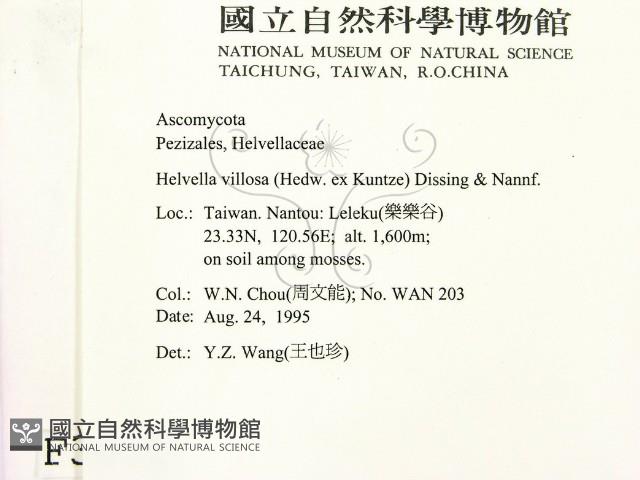 登錄號:F0003672藏品圖，第2張