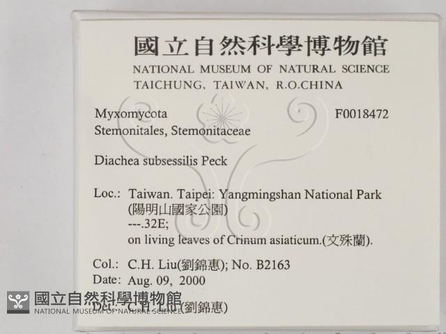 登錄號:F0018472藏品圖，第2張