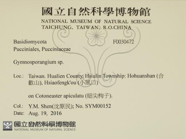 登錄號:F0030472藏品圖，第2張