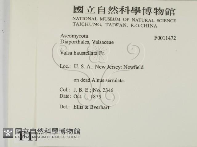 登錄號:F0011472藏品圖，第2張