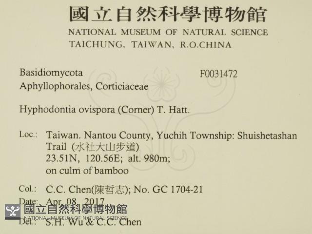 登錄號:F0031472藏品圖，第2張