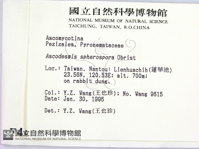 登錄號:F0004472藏品圖，第2張