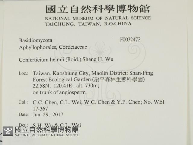 登錄號:F0032472藏品圖，第2張