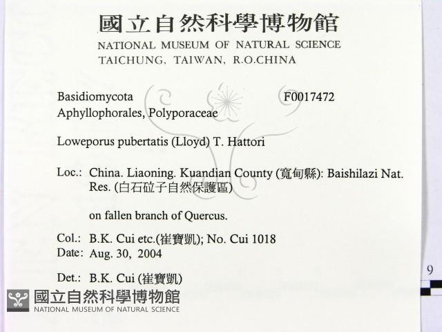 登錄號:F0017472藏品圖，第2張