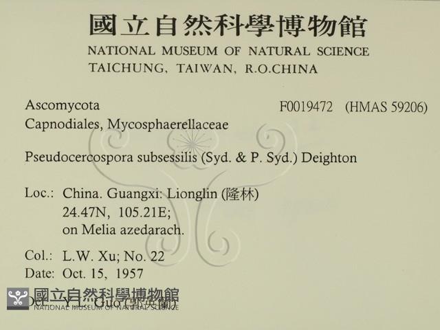 登錄號:F0019472藏品圖，第2張