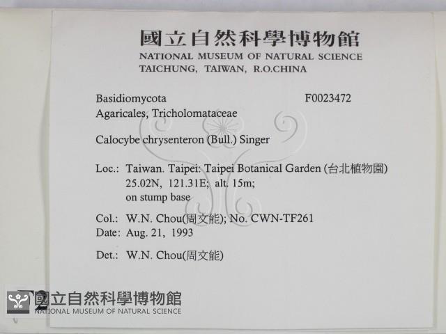 登錄號:F0023472藏品圖，第2張