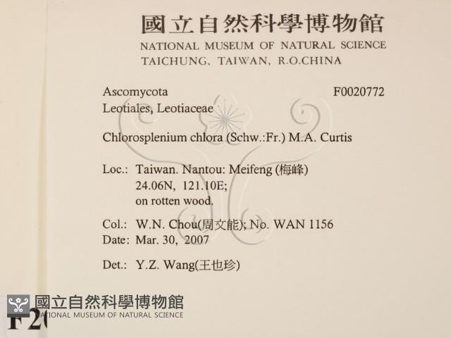 登錄號:F0020772藏品圖，第2張