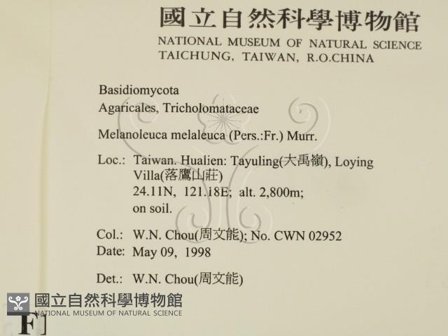 登錄號:F0010772藏品圖，第2張