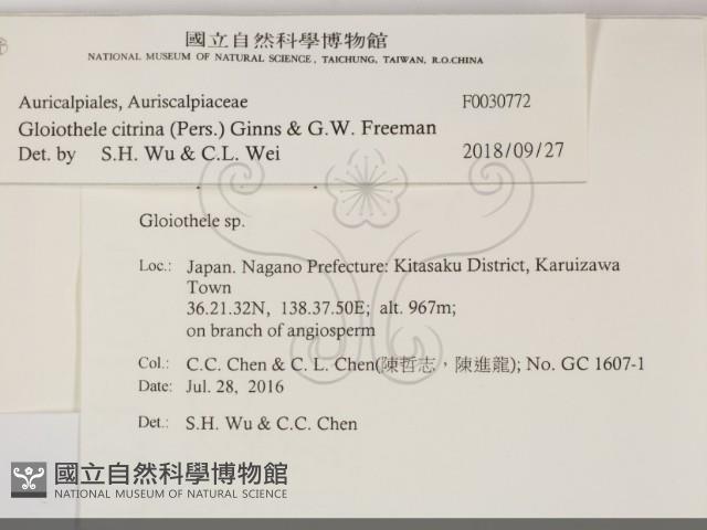 登錄號:F0030772藏品圖，第2張