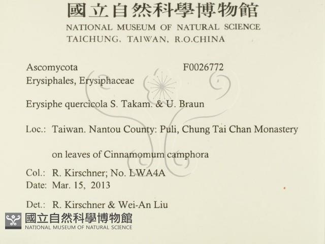 登錄號:F0026772藏品圖，第2張