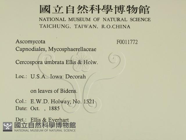 登錄號:F0011772藏品圖，第2張