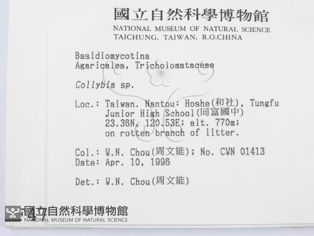 登錄號:F0004772藏品圖，第2張