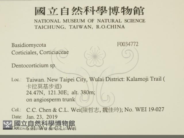 登錄號:F0034772藏品圖，第2張