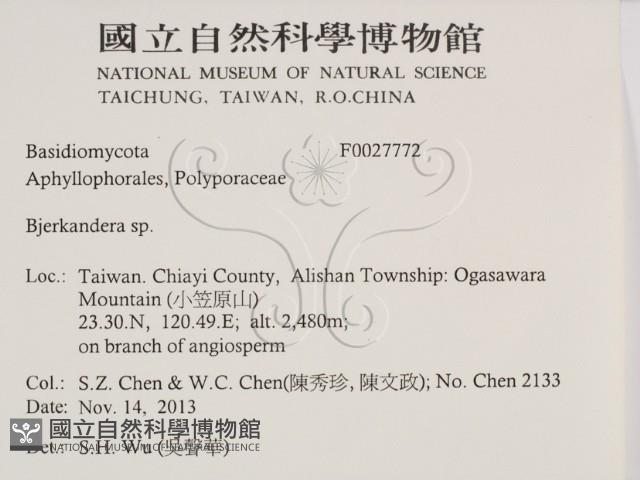 登錄號:F0027772藏品圖，第2張