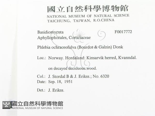 登錄號:F0017772藏品圖，第2張