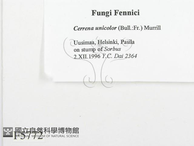 登錄號:F0005772藏品圖，第2張