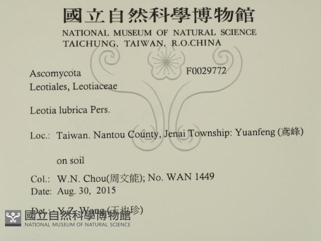 登錄號:F0029772藏品圖，第2張