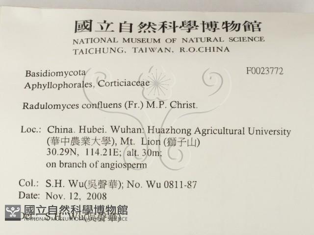 登錄號:F0023772藏品圖，第2張