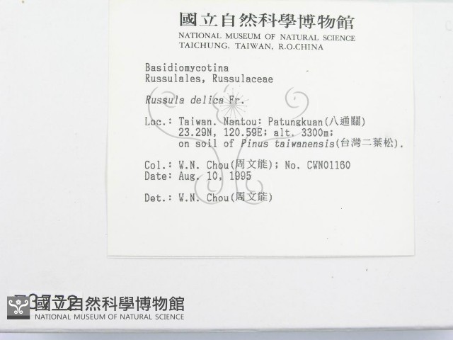 登錄號:F0003772藏品圖，第2張