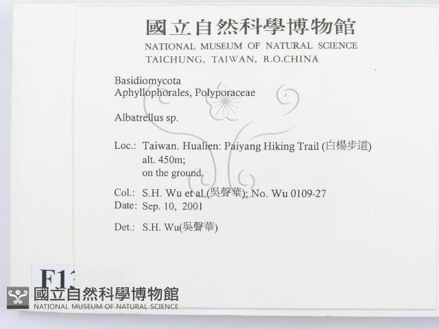 登錄號:F0013772藏品圖，第2張