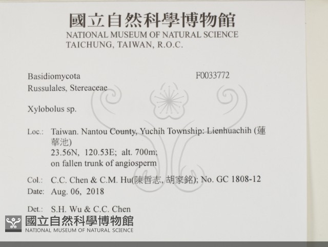 登錄號:F0033772藏品圖，第2張