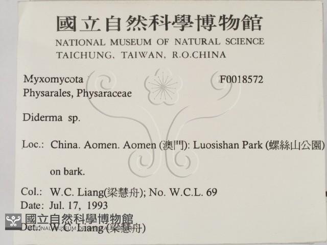 登錄號:F0018572藏品圖，第2張