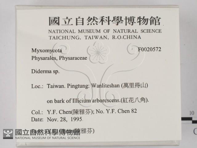 登錄號:F0020572藏品圖，第2張