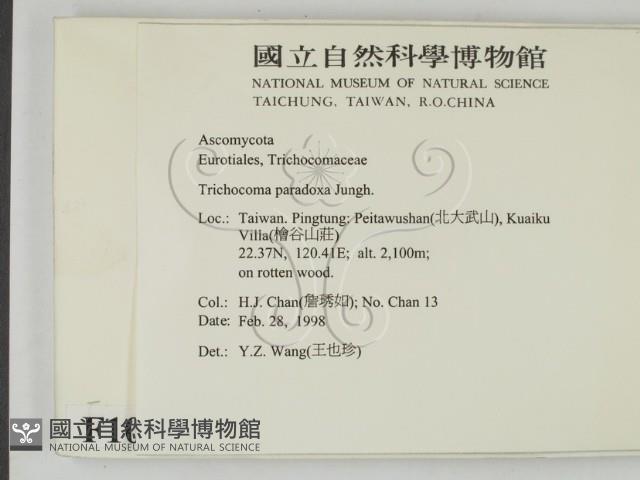 登錄號:F0010572藏品圖，第2張