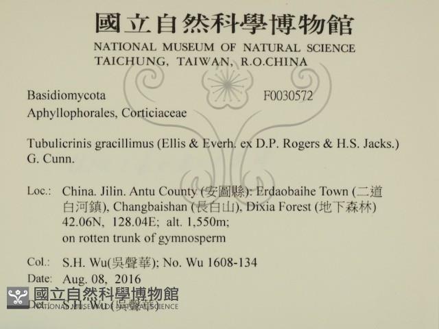 登錄號:F0030572藏品圖，第2張