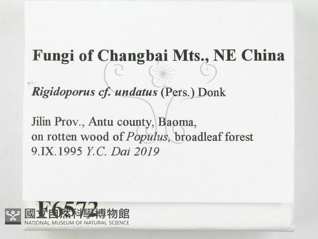登錄號:F0006572藏品圖，第2張