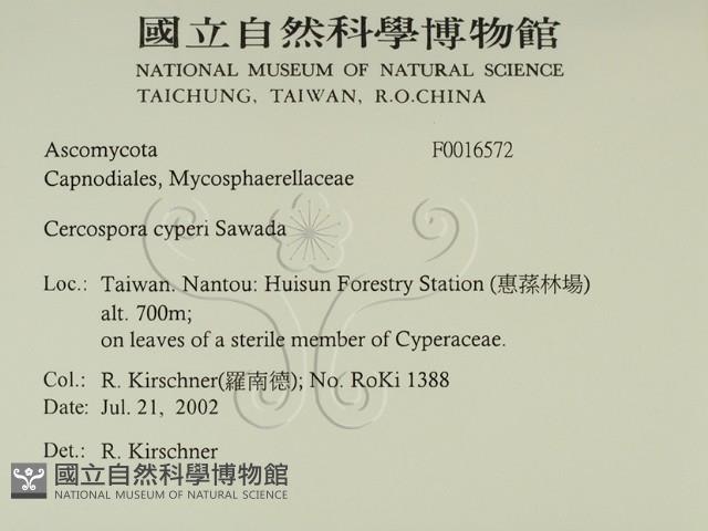 登錄號:F0016572藏品圖，第2張
