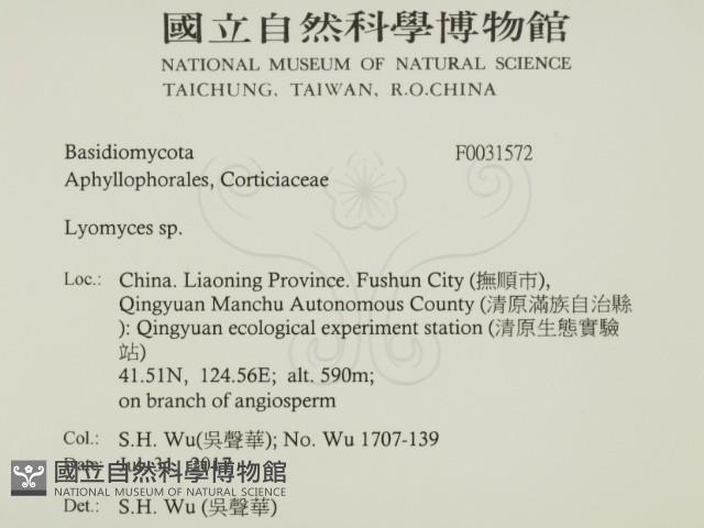 登錄號:F0031572藏品圖，第2張