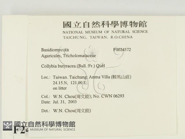 登錄號:F0024572藏品圖，第2張