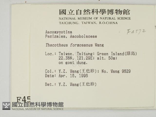 登錄號:F0004572藏品圖，第2張